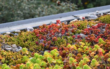 the cost of Appleton Thorn green roof installation