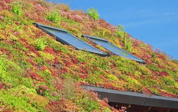 Appleton Thorn living roof systems