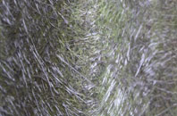 Appleton Thorn fibreglass roof work